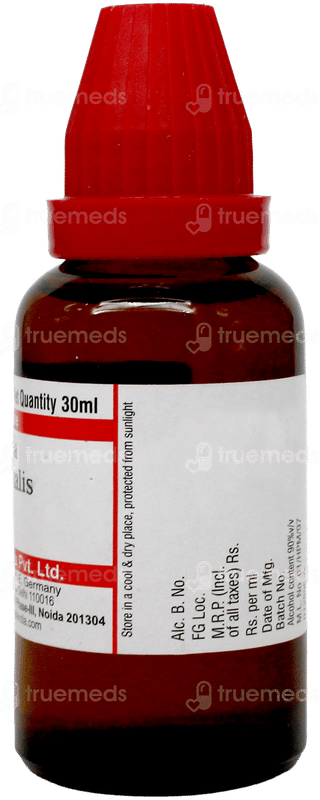 Dr Willmar Schwabe Thuja Occidentalis 1M Dilution 30Ml